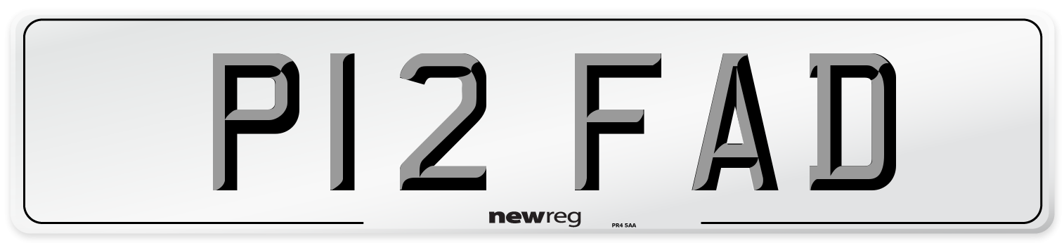 P12 FAD Number Plate from New Reg